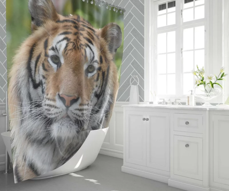 Tiger Untamed Majesty Fierce Wilderness Shower Curtain 1