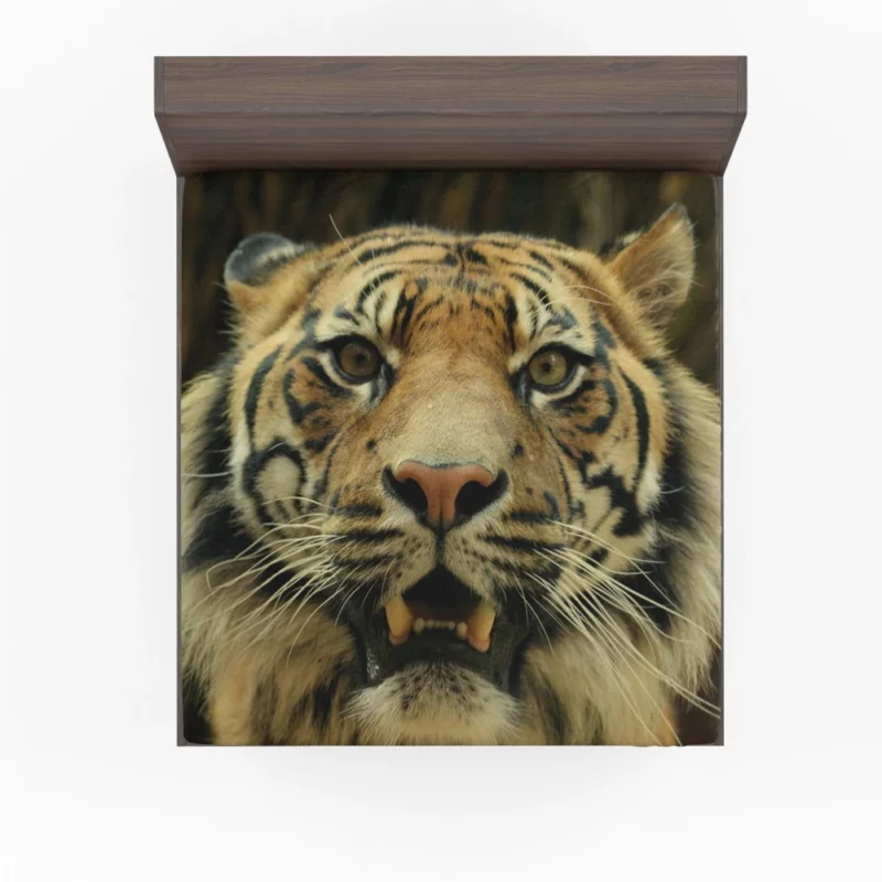 Tiger Untamed Majesty Fitted Sheet 1