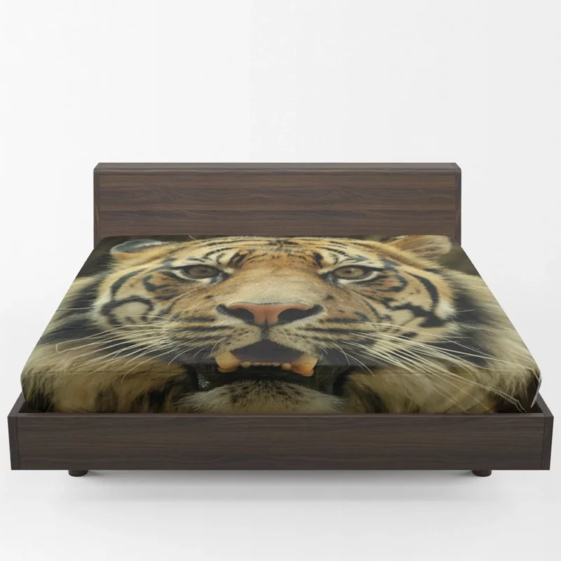 Tiger Untamed Majesty Fitted Sheet