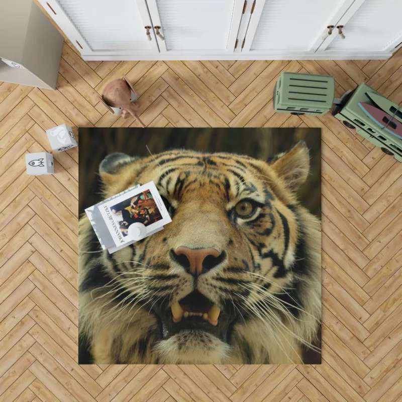 Tiger Untamed Majesty Rug