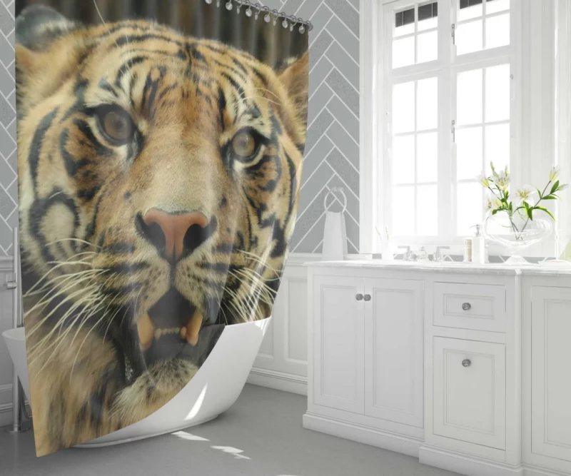 Tiger Untamed Majesty Shower Curtain 1