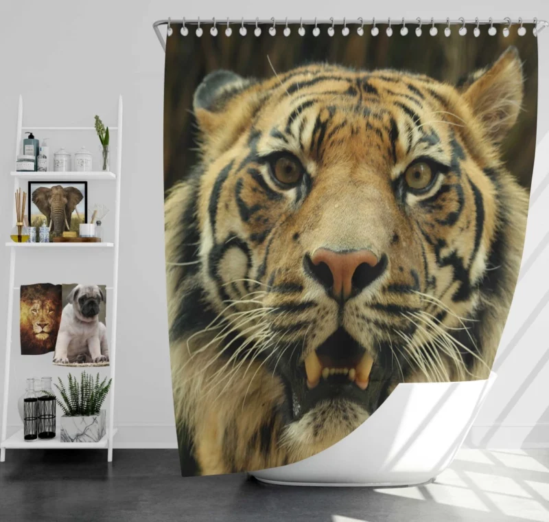 Tiger Untamed Majesty Shower Curtain