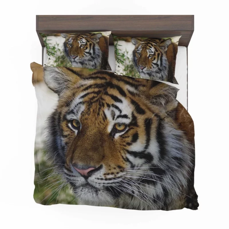 Tiger Wild Bedding Set 1