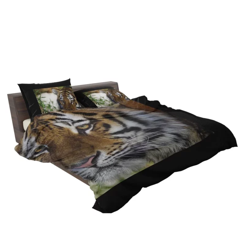 Tiger Wild Bedding Set 2