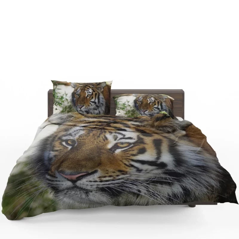 Tiger Wild Bedding Set