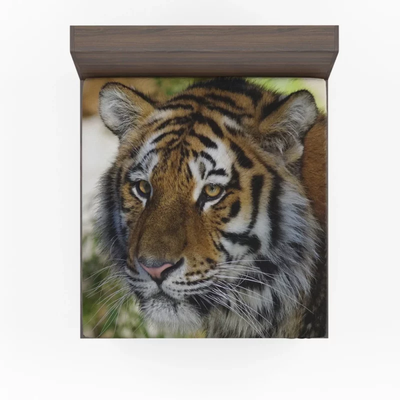 Tiger Wild Fitted Sheet 1