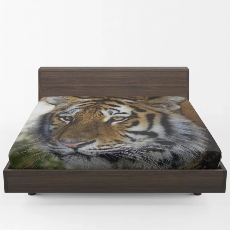 Tiger Wild Fitted Sheet