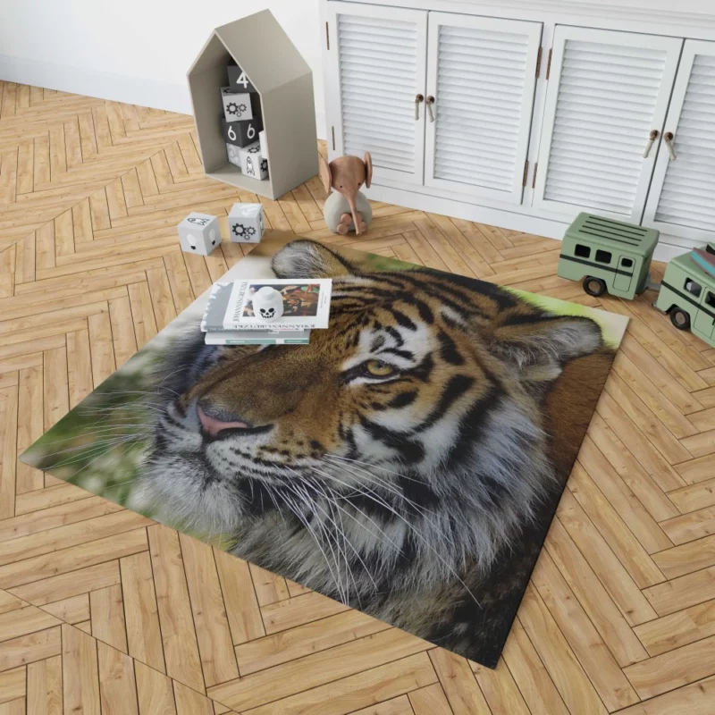 Tiger Wild Rug 1