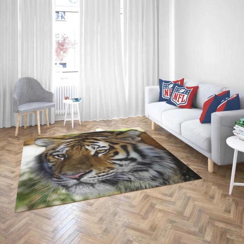 Tiger Wild Rug 2