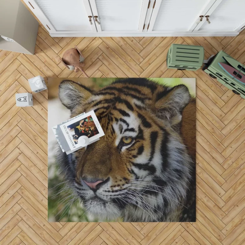 Tiger Wild Rug