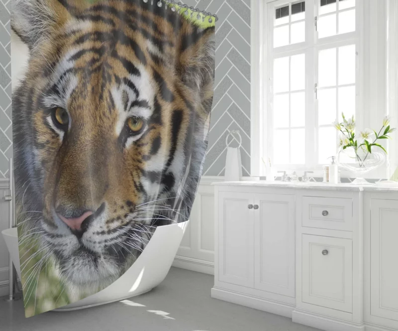 Tiger Wild Shower Curtain 1