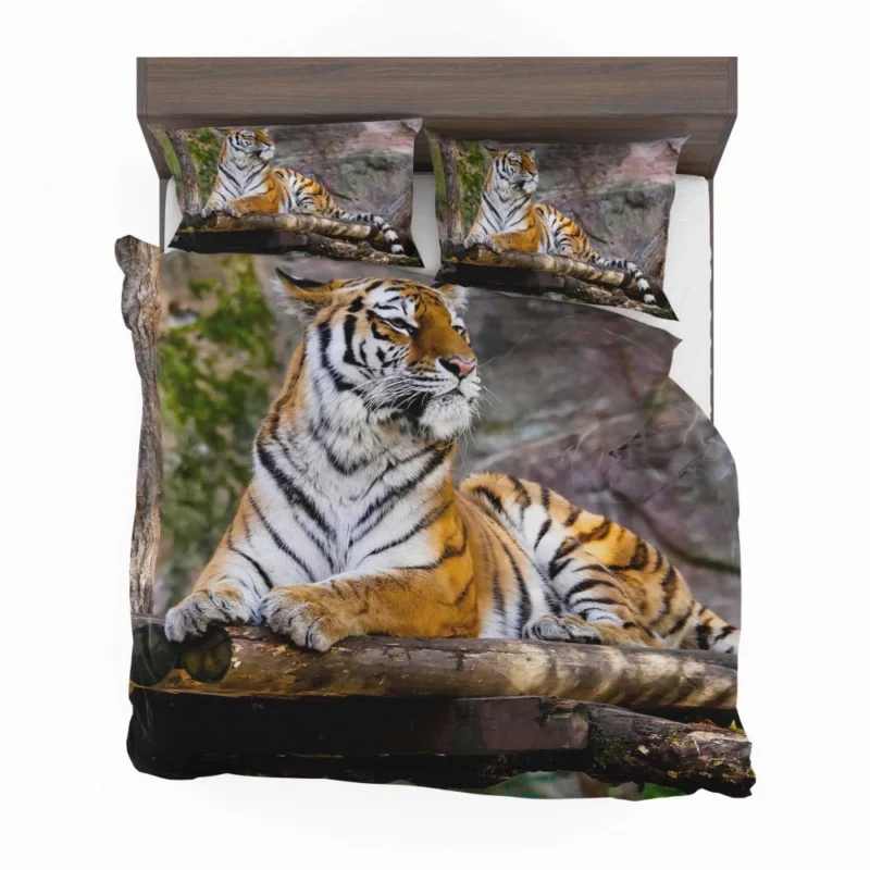 Tiger Zoo Majesty Striking Beauty Bedding Set 1