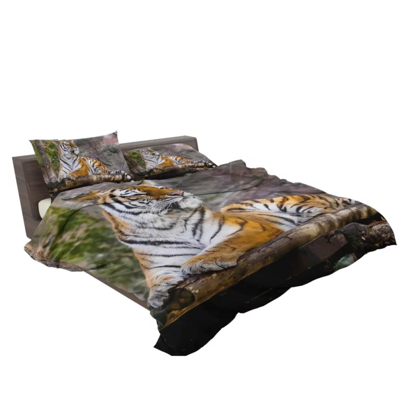 Tiger Zoo Majesty Striking Beauty Bedding Set 2