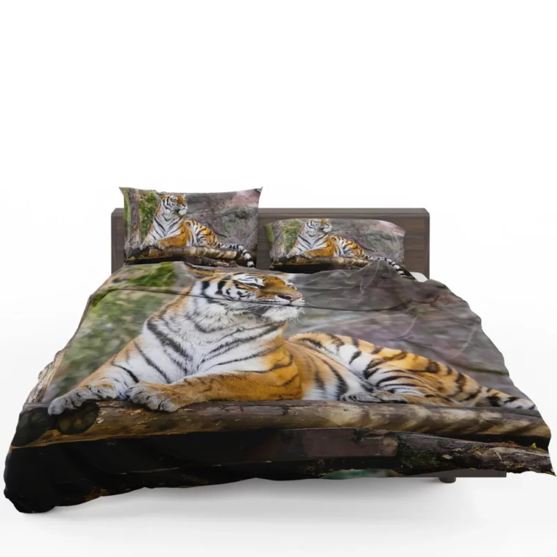 Tiger Zoo Majesty Striking Beauty Bedding Set