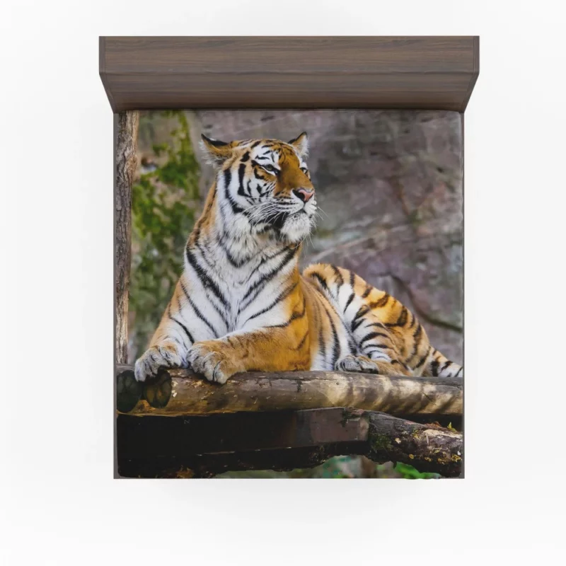 Tiger Zoo Majesty Striking Beauty Fitted Sheet 1