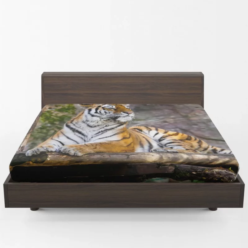 Tiger Zoo Majesty Striking Beauty Fitted Sheet