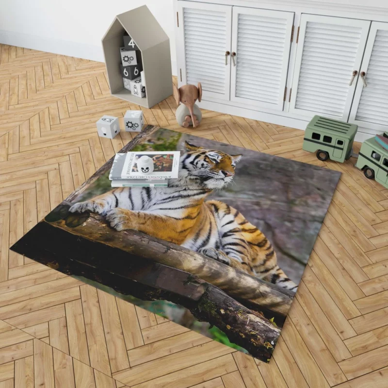 Tiger Zoo Majesty Striking Beauty Rug 1