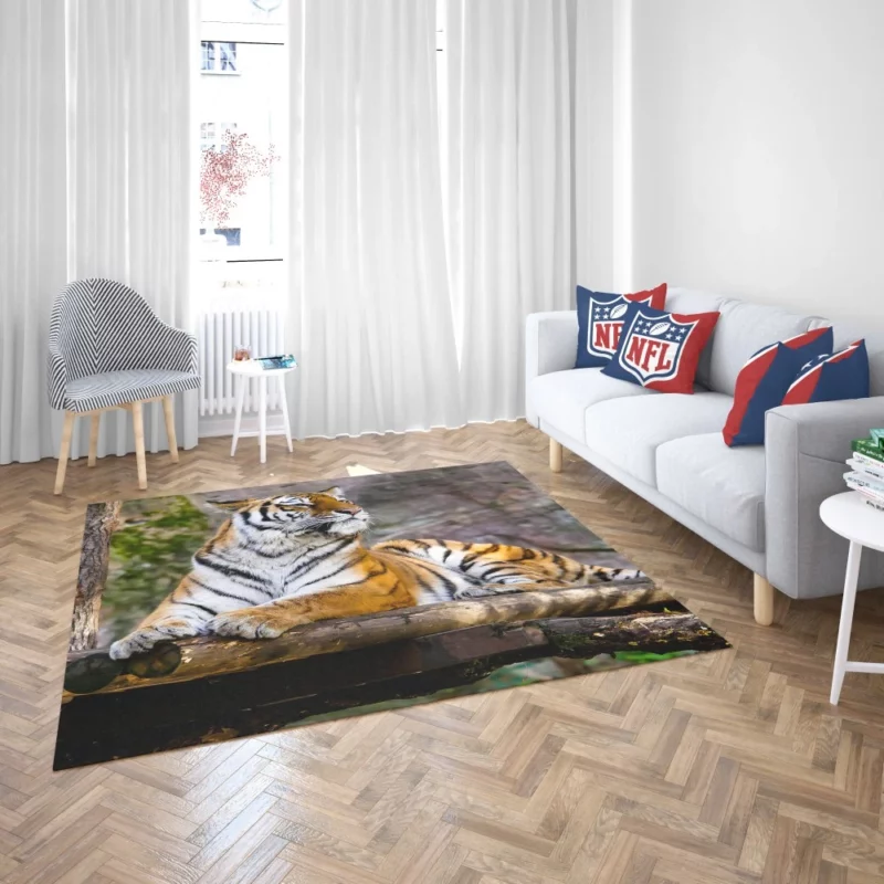 Tiger Zoo Majesty Striking Beauty Rug 2