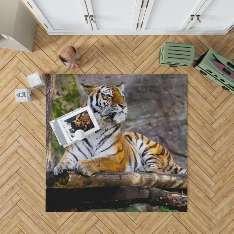 Tiger Zoo Majesty Striking Beauty Rug