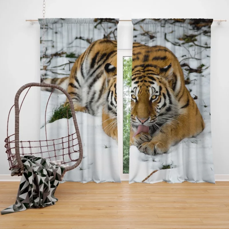 Tiger in Snowy Serenity Winter Warrior Curtain