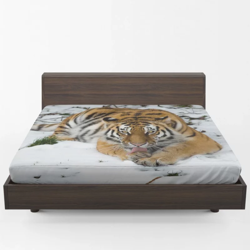 Tiger in Snowy Serenity Winter Warrior Fitted Sheet