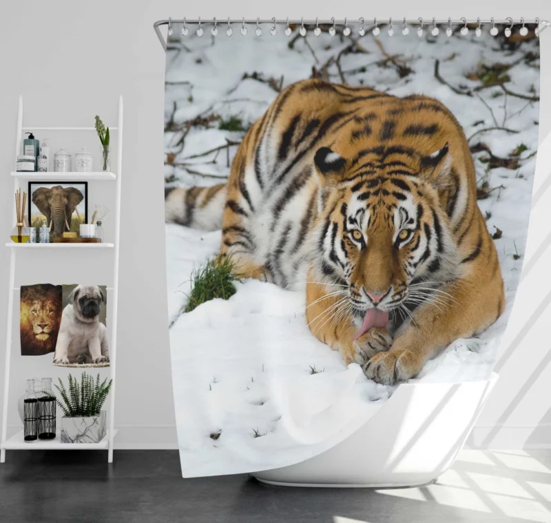 Tiger in Snowy Serenity Winter Warrior Shower Curtain