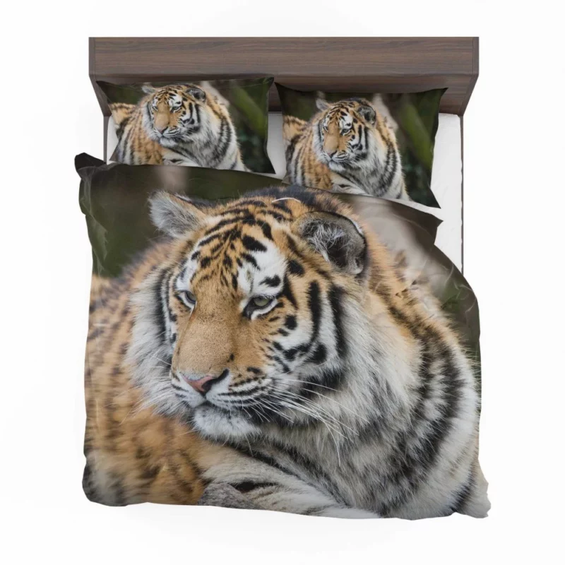 Tigers in the Zoo Guardians of the Wild Bedding Set 1