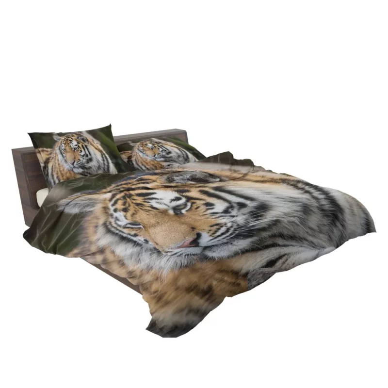 Tigers in the Zoo Guardians of the Wild Bedding Set 2