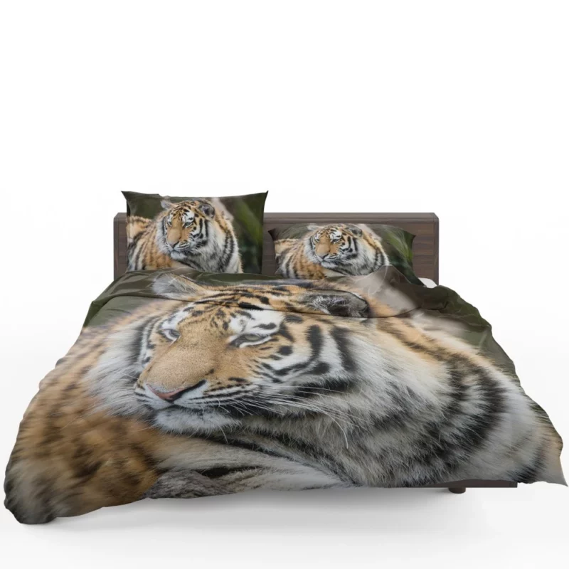 Tigers in the Zoo Guardians of the Wild Bedding Set