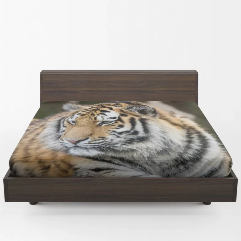 Tigers in the Zoo Guardians of the Wild Fitted Sheet