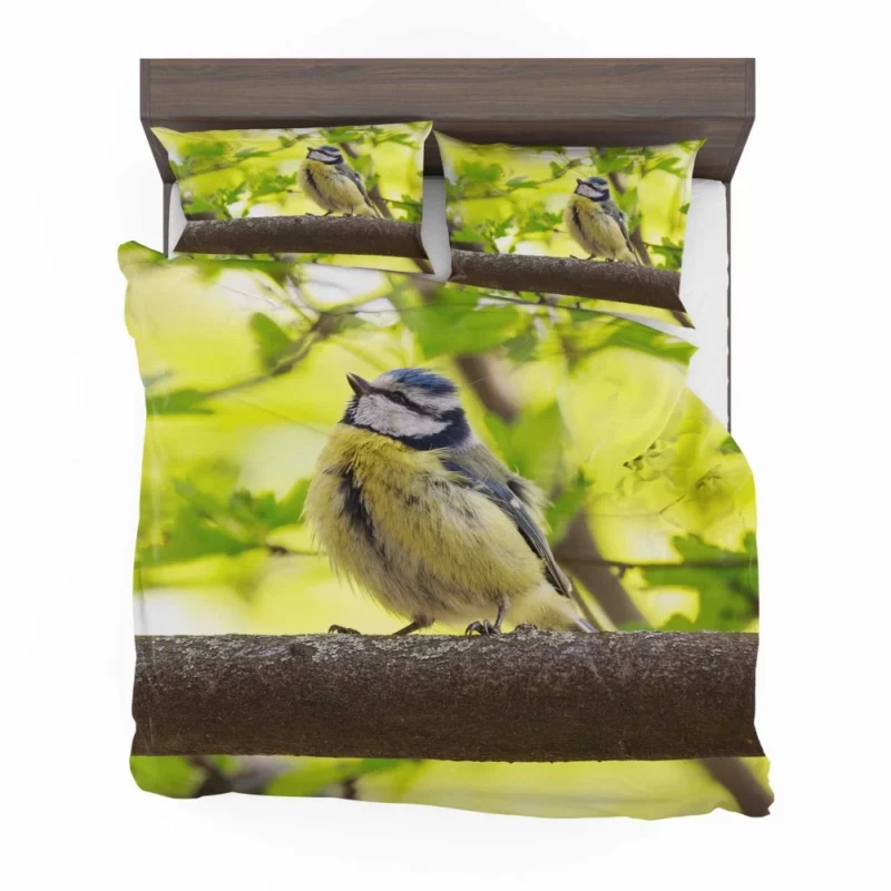 Titmouse Delicate Pose Branch Dweller Bedding Set 1