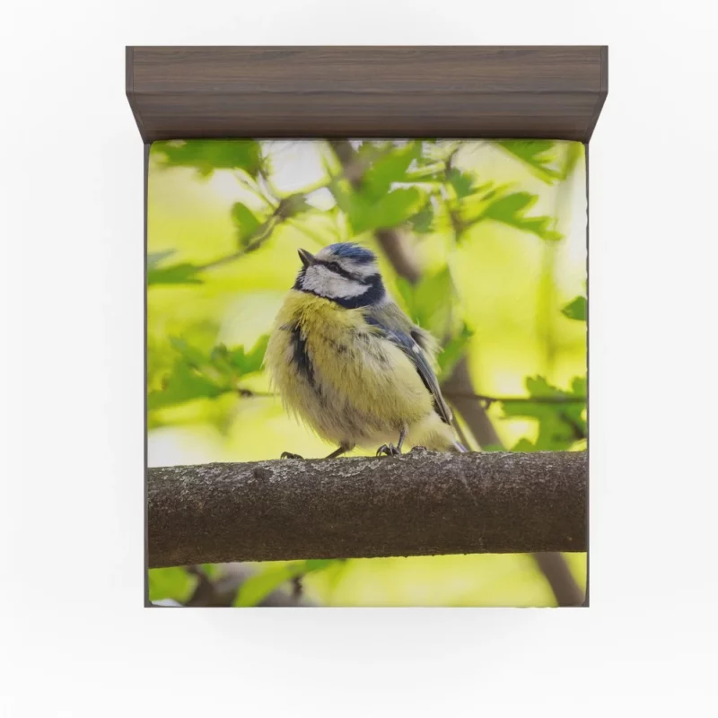 Titmouse Delicate Pose Branch Dweller Fitted Sheet 1