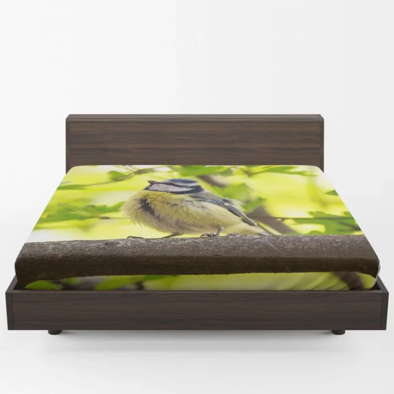 Titmouse Delicate Pose Branch Dweller Fitted Sheet