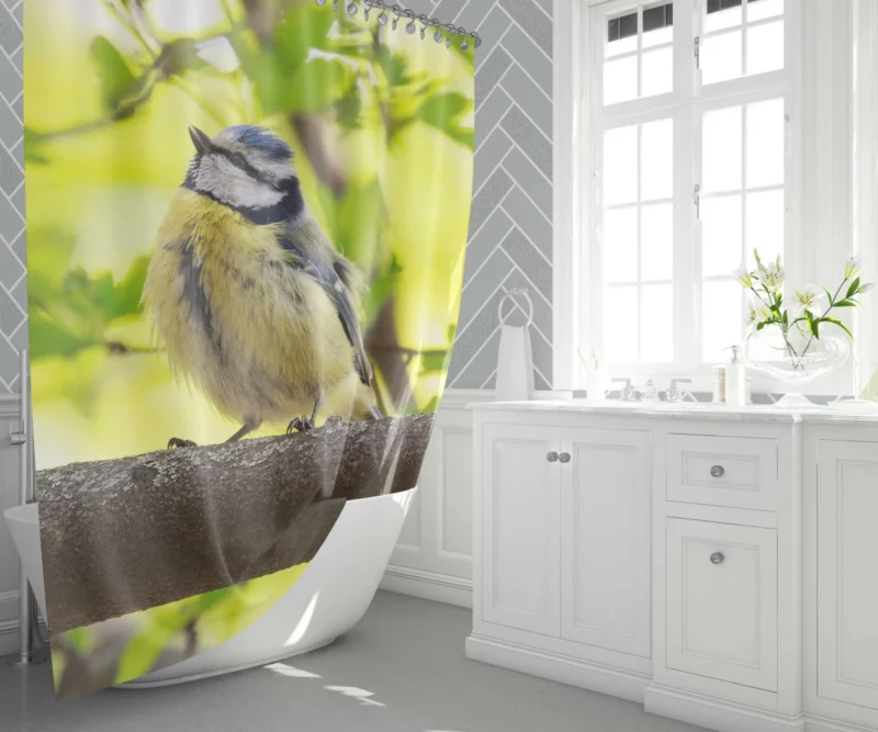 Titmouse Delicate Pose Branch Dweller Shower Curtain 1