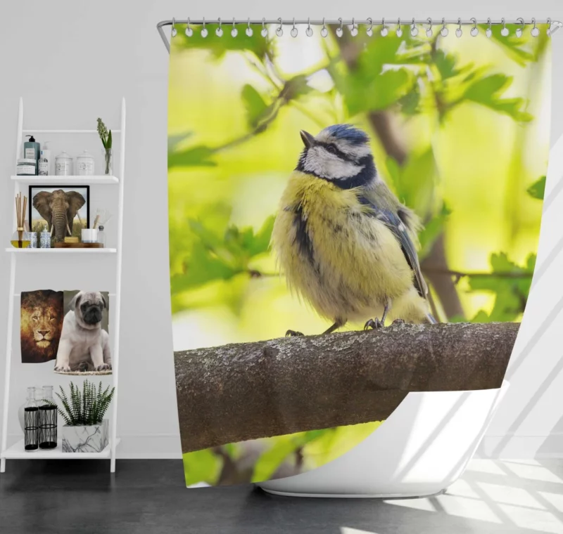 Titmouse Delicate Pose Branch Dweller Shower Curtain