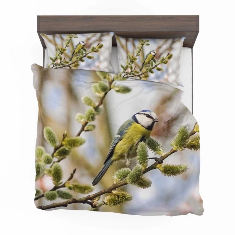 Titmouse Delicate Presence Aerial Beauty Bedding Set 1