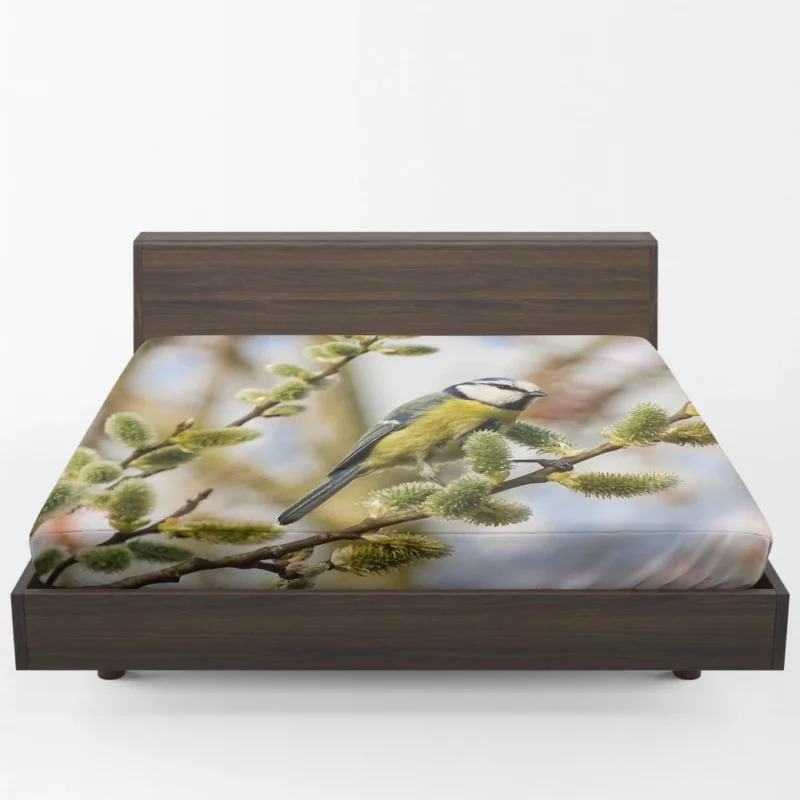 Titmouse Delicate Presence Aerial Beauty Fitted Sheet