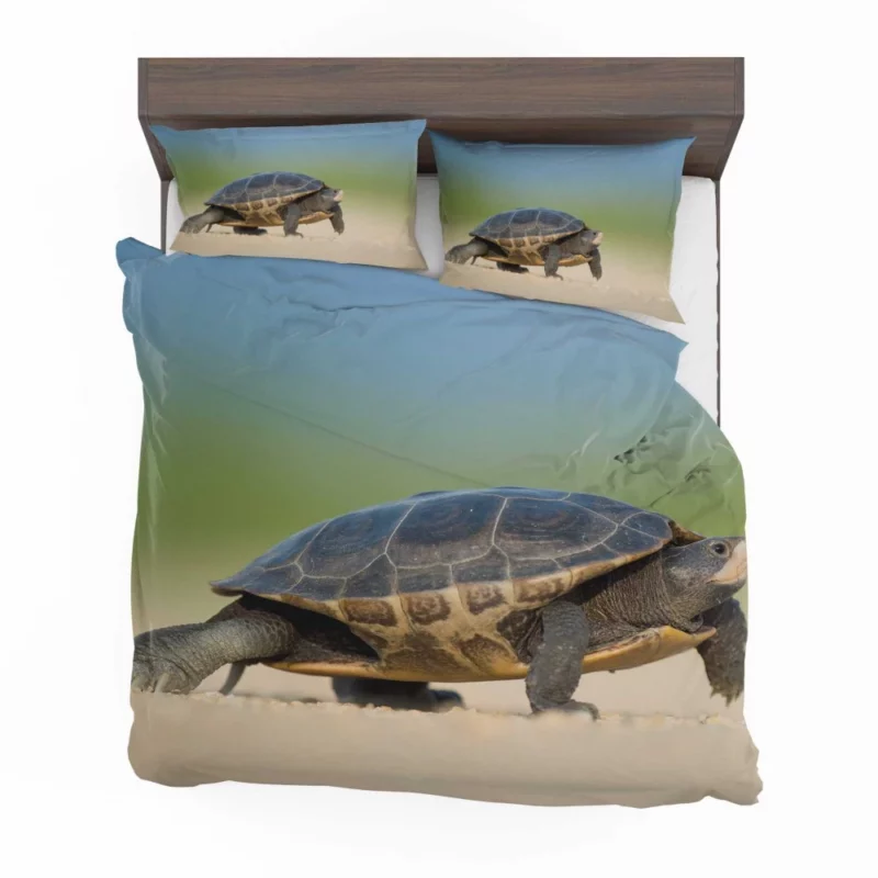 Tortoise Gentle Stroll Nature Grace Bedding Set 1