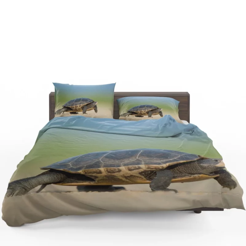 Tortoise Gentle Stroll Nature Grace Bedding Set