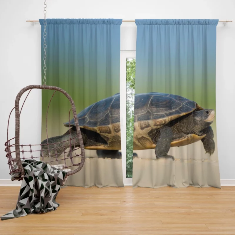 Tortoise Gentle Stroll Nature Grace Curtain