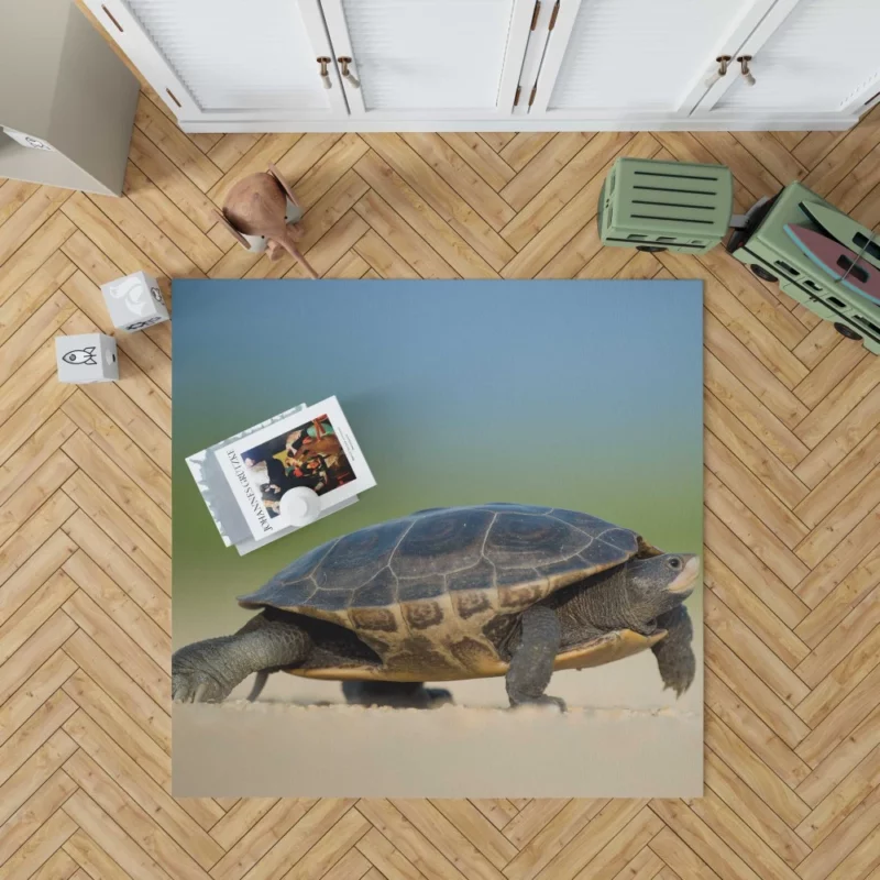 Tortoise Gentle Stroll Nature Grace Rug