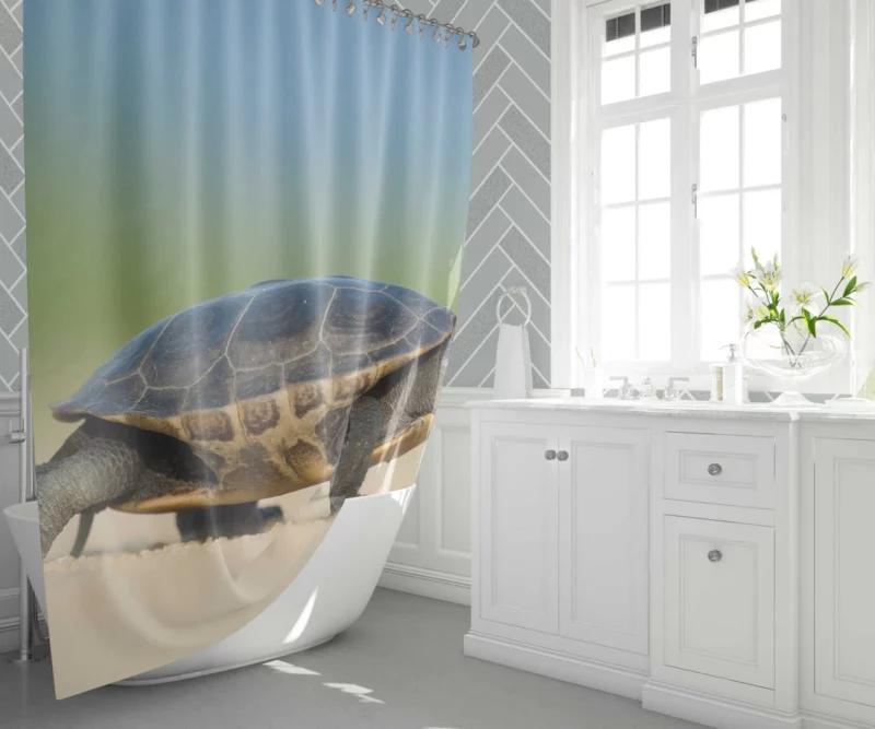 Tortoise Gentle Stroll Nature Grace Shower Curtain 1