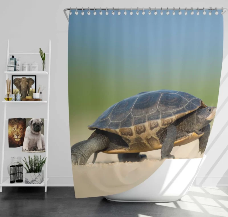 Tortoise Gentle Stroll Nature Grace Shower Curtain