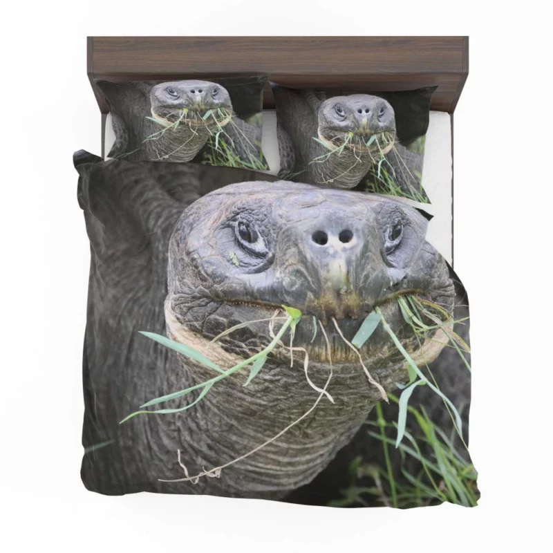 Tortoise Slow Journey Ancient Wisdom Bedding Set 1