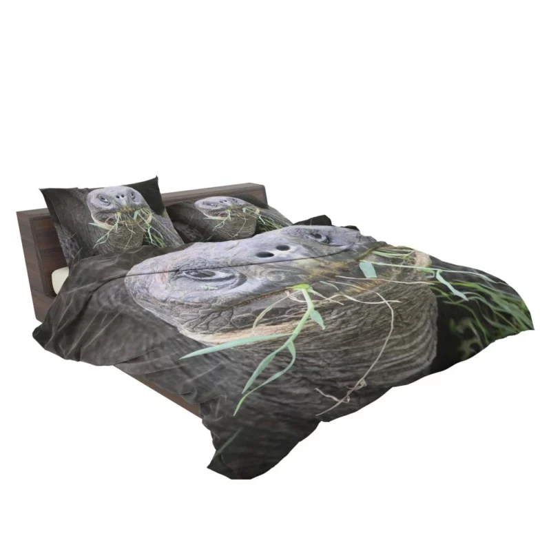 Tortoise Slow Journey Ancient Wisdom Bedding Set 2