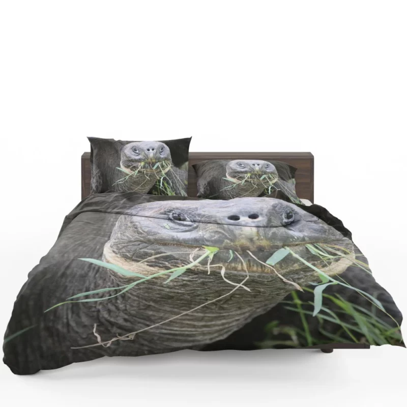 Tortoise Slow Journey Ancient Wisdom Bedding Set