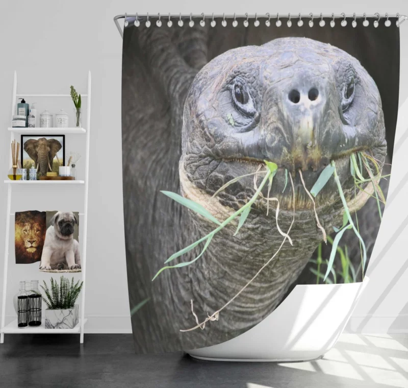 Tortoise Slow Journey Ancient Wisdom Shower Curtain