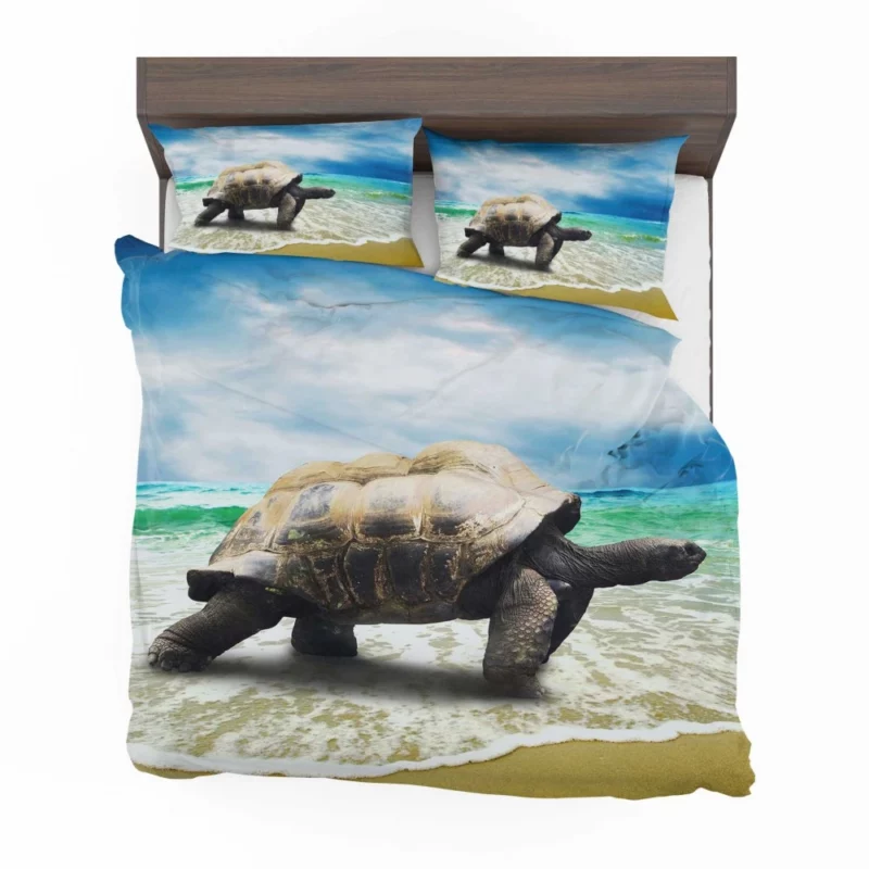 Tortoise Wisdom Steady Journey Bedding Set 1