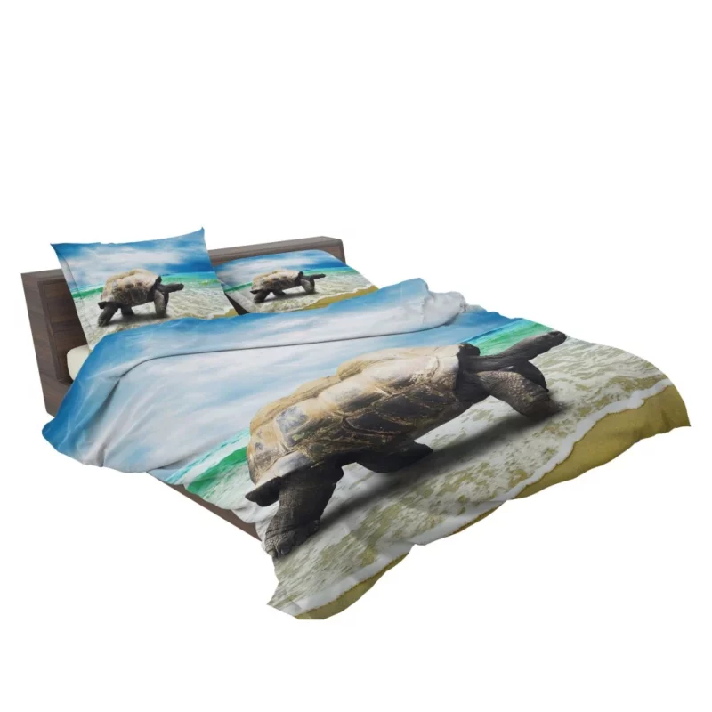 Tortoise Wisdom Steady Journey Bedding Set 2