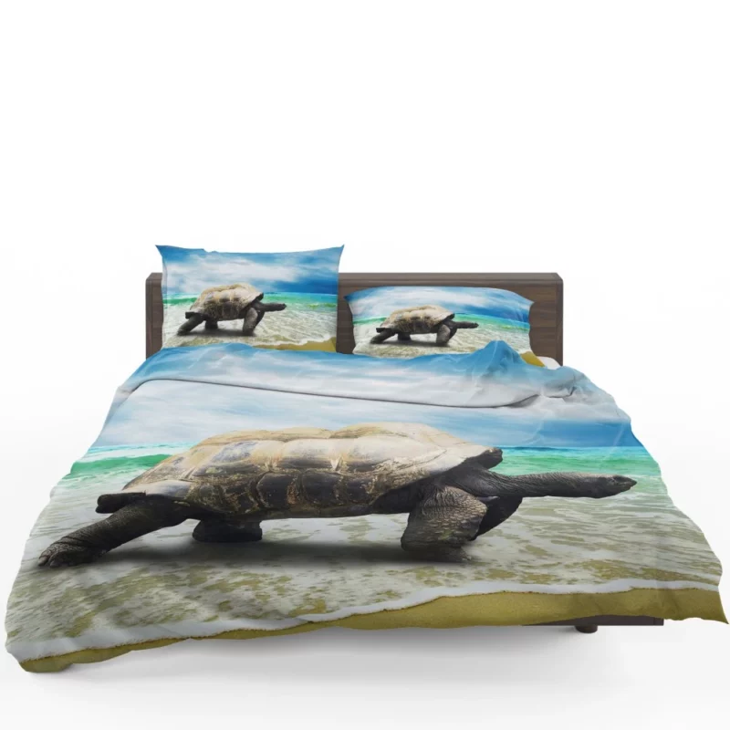 Tortoise Wisdom Steady Journey Bedding Set